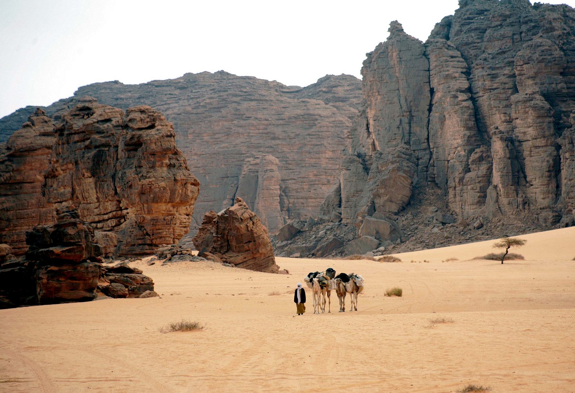 Tassili desert landscape, Algeria