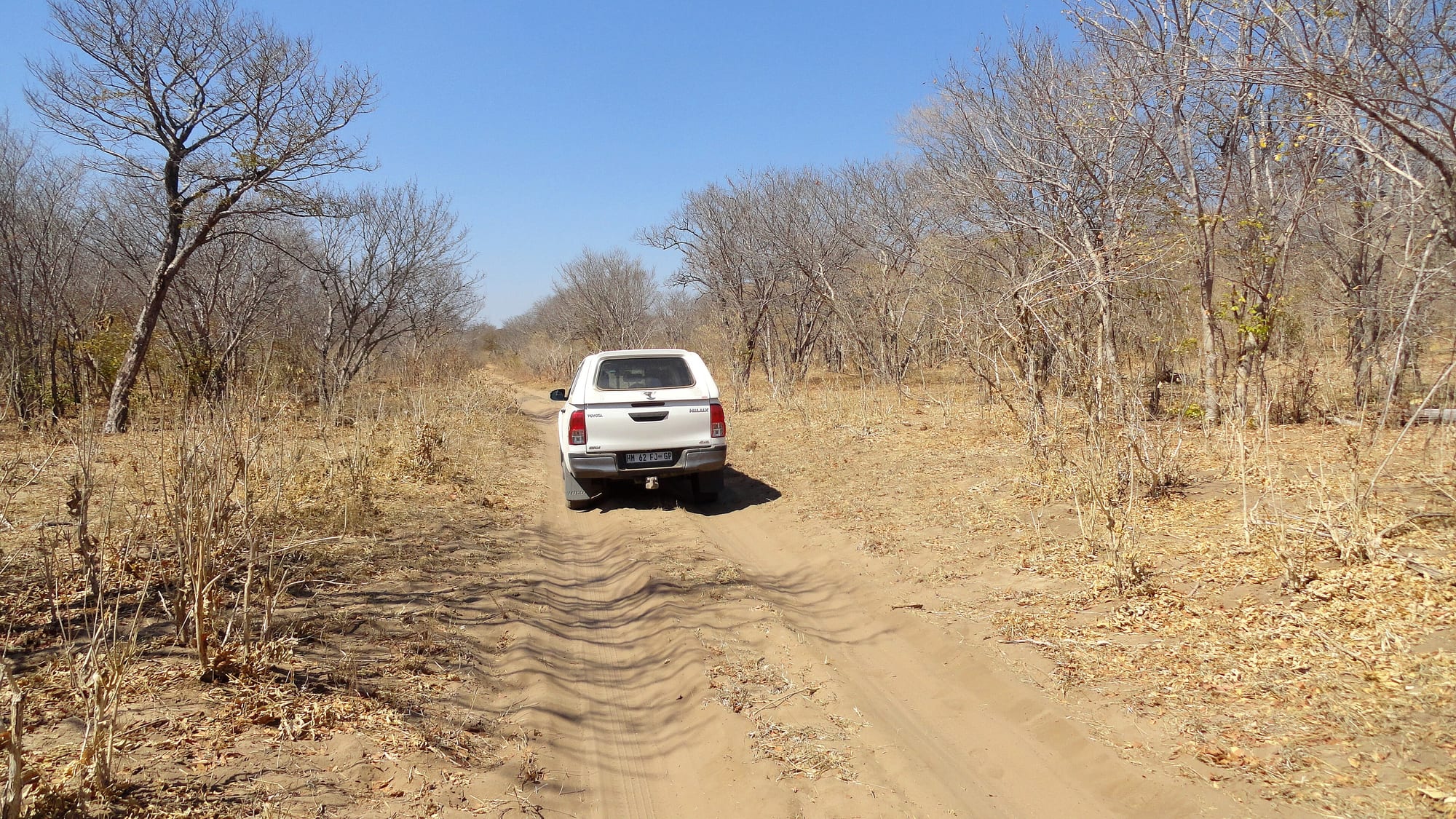 Chobe National Park, Botswana