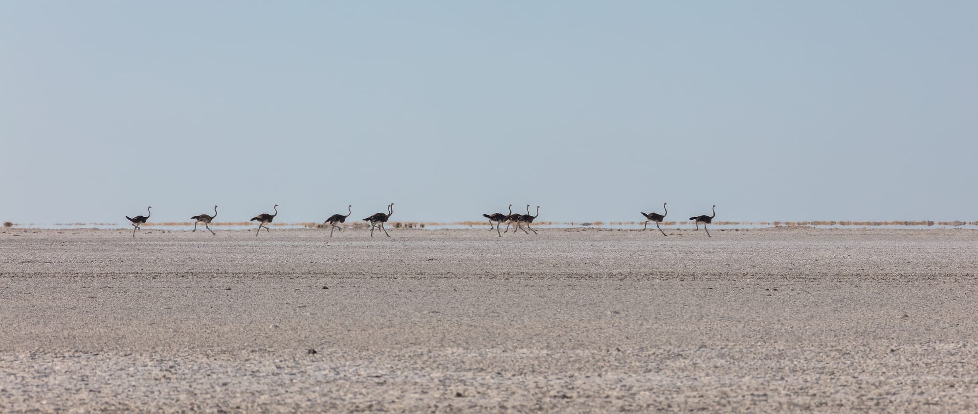 Makgadikgadi Pans, Botswana