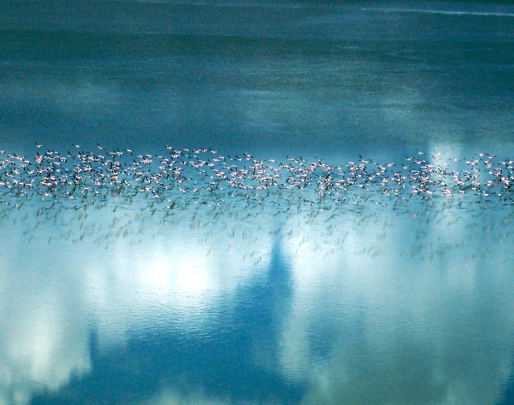 Makgadikgadi Pans, Botswana
