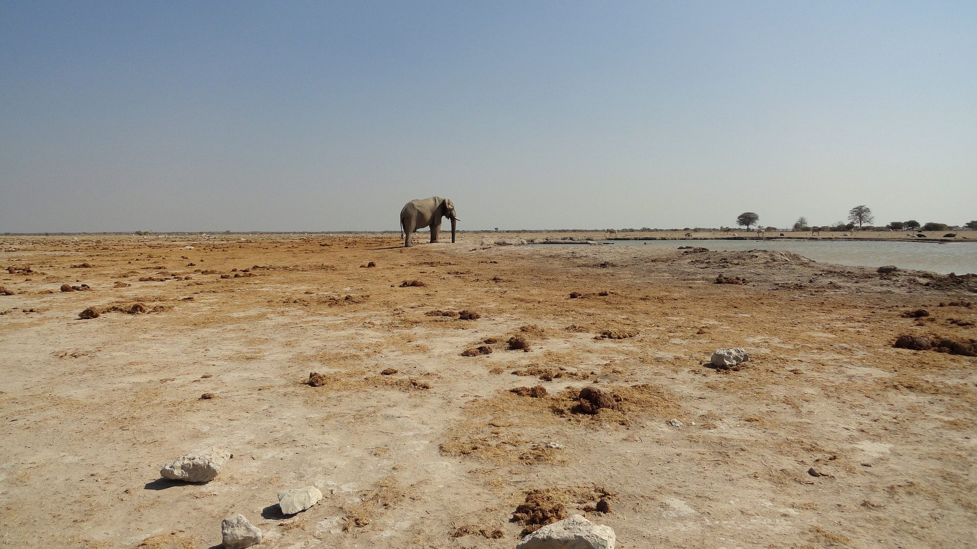 Nxai Pan National Park plains