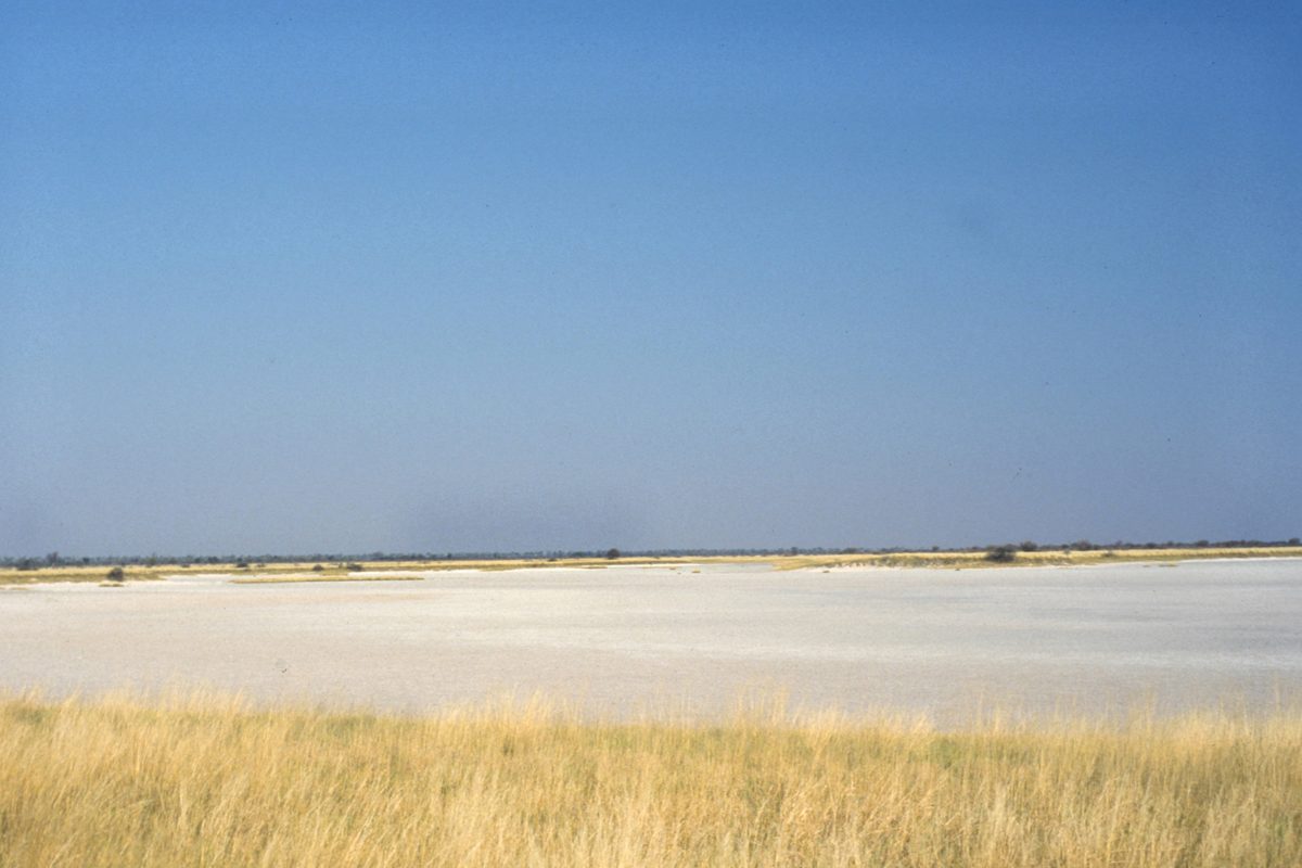 Nxai Pan salt pan