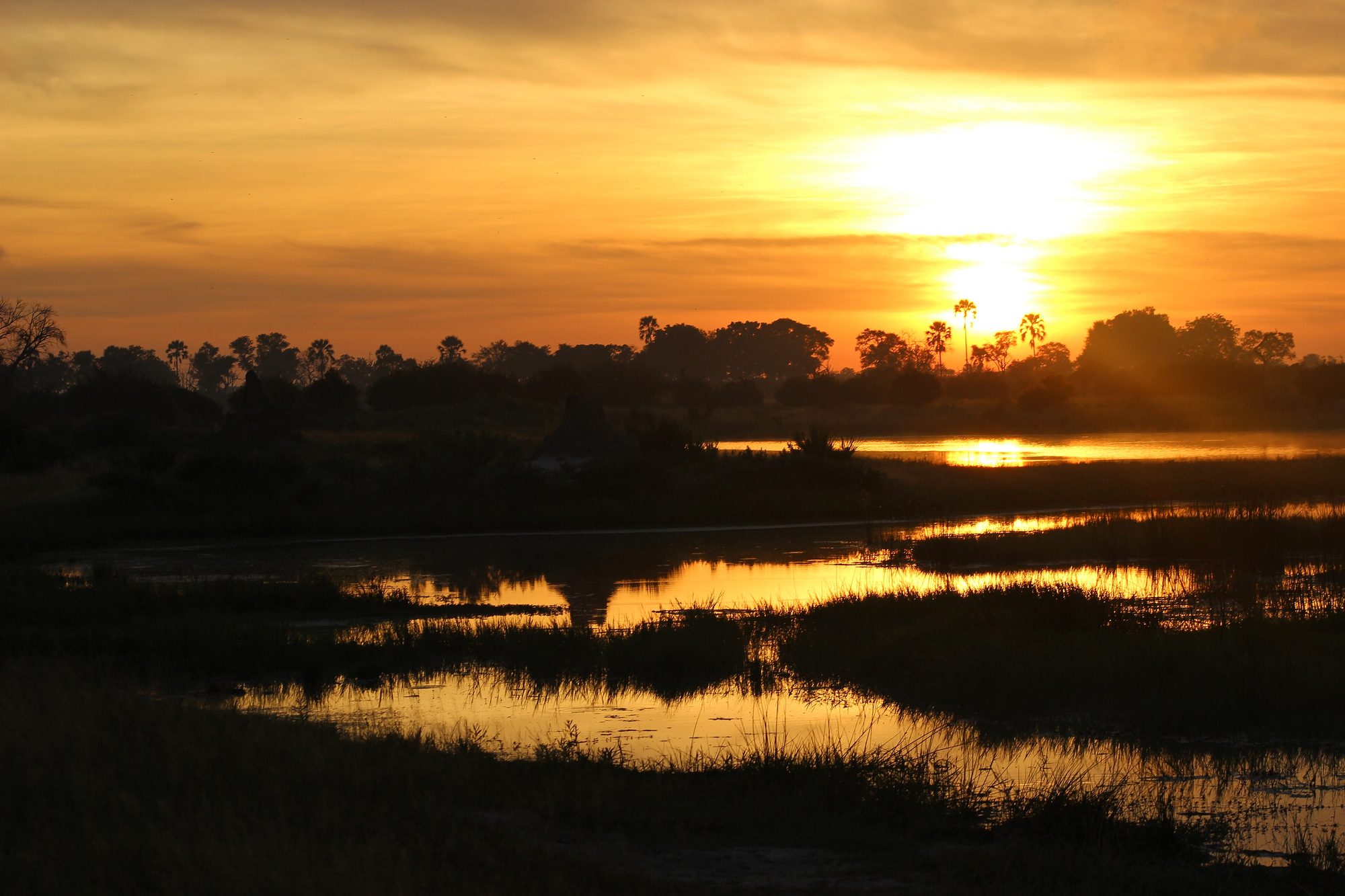 Okavango Delta, Botswana