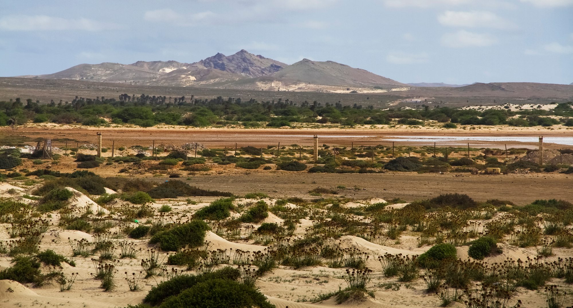 Dry desert landscape of Boa Vista