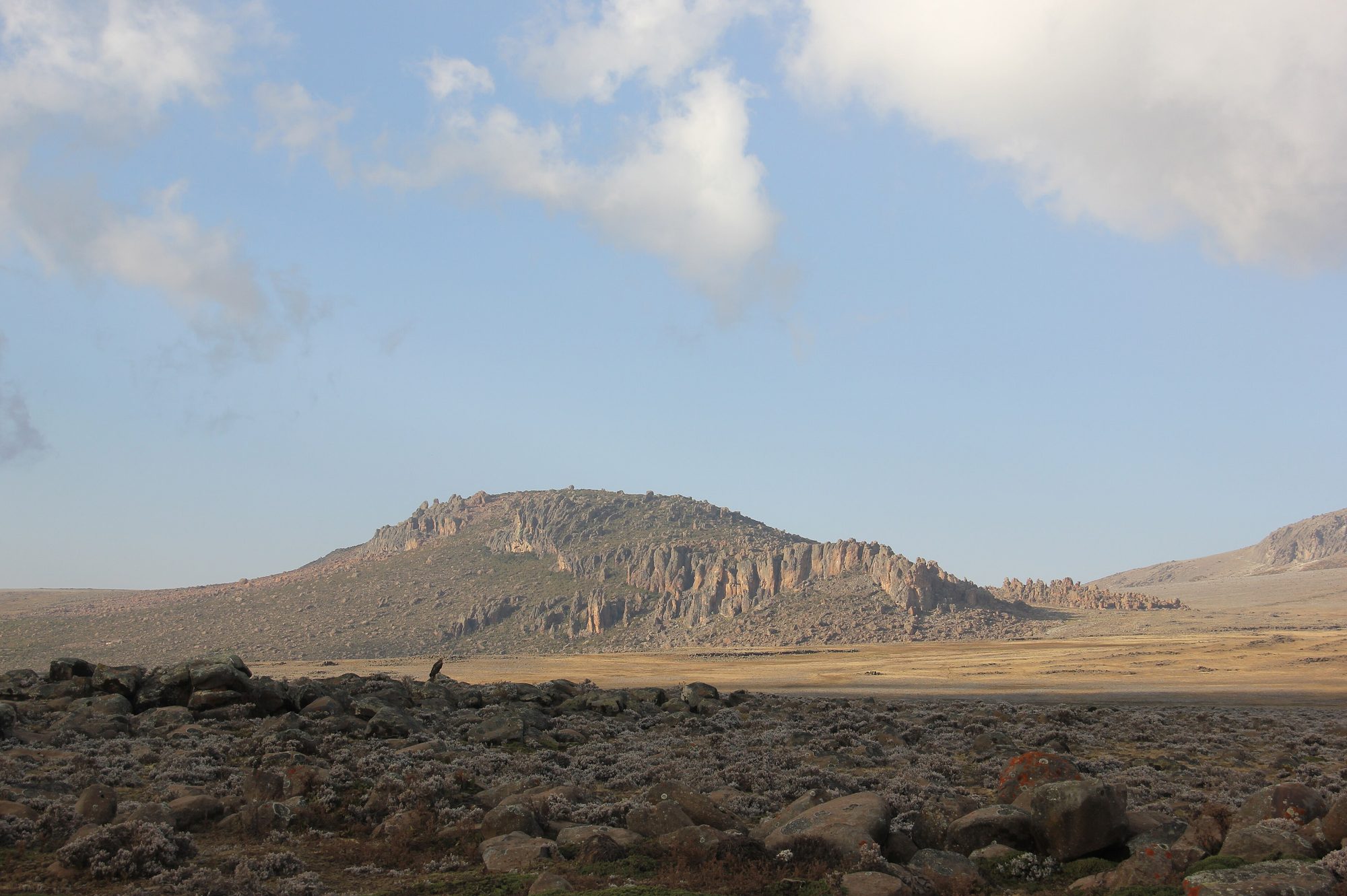 Bale Mountains landscape