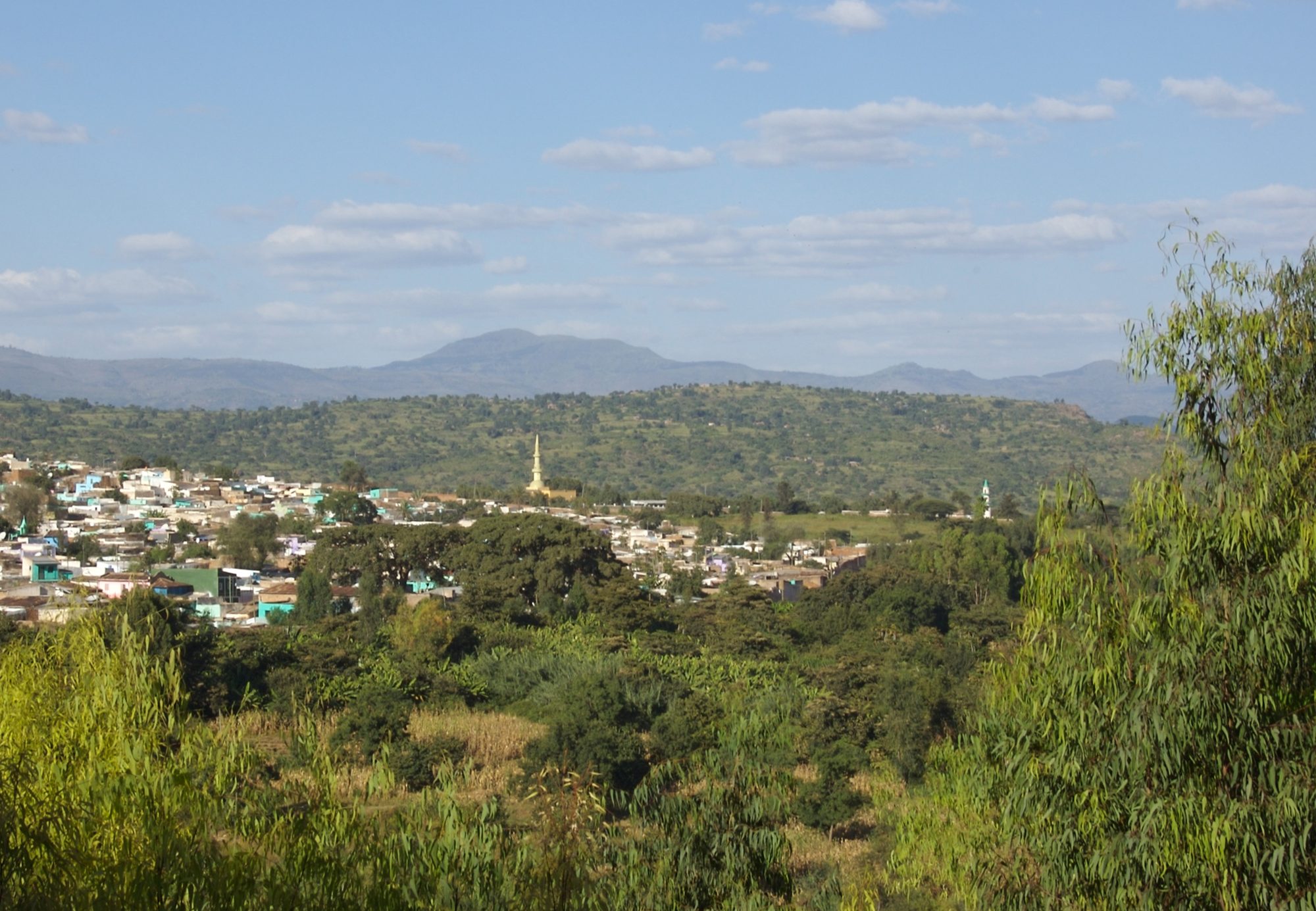 View over Harar's old town