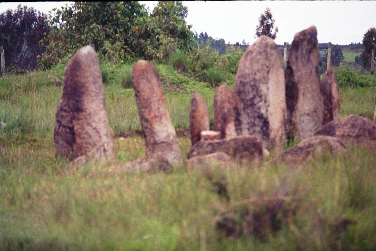 Tiya stele field
