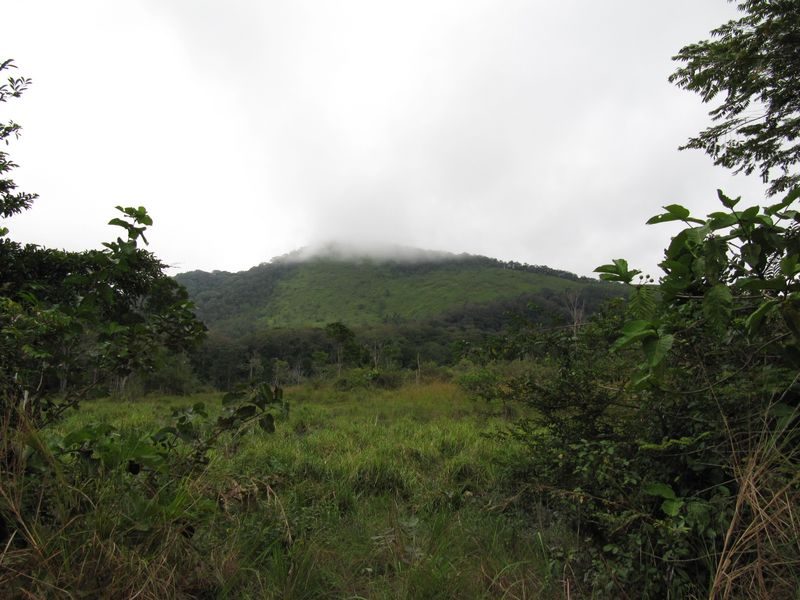 Savanna and forest landscape of La Lopé