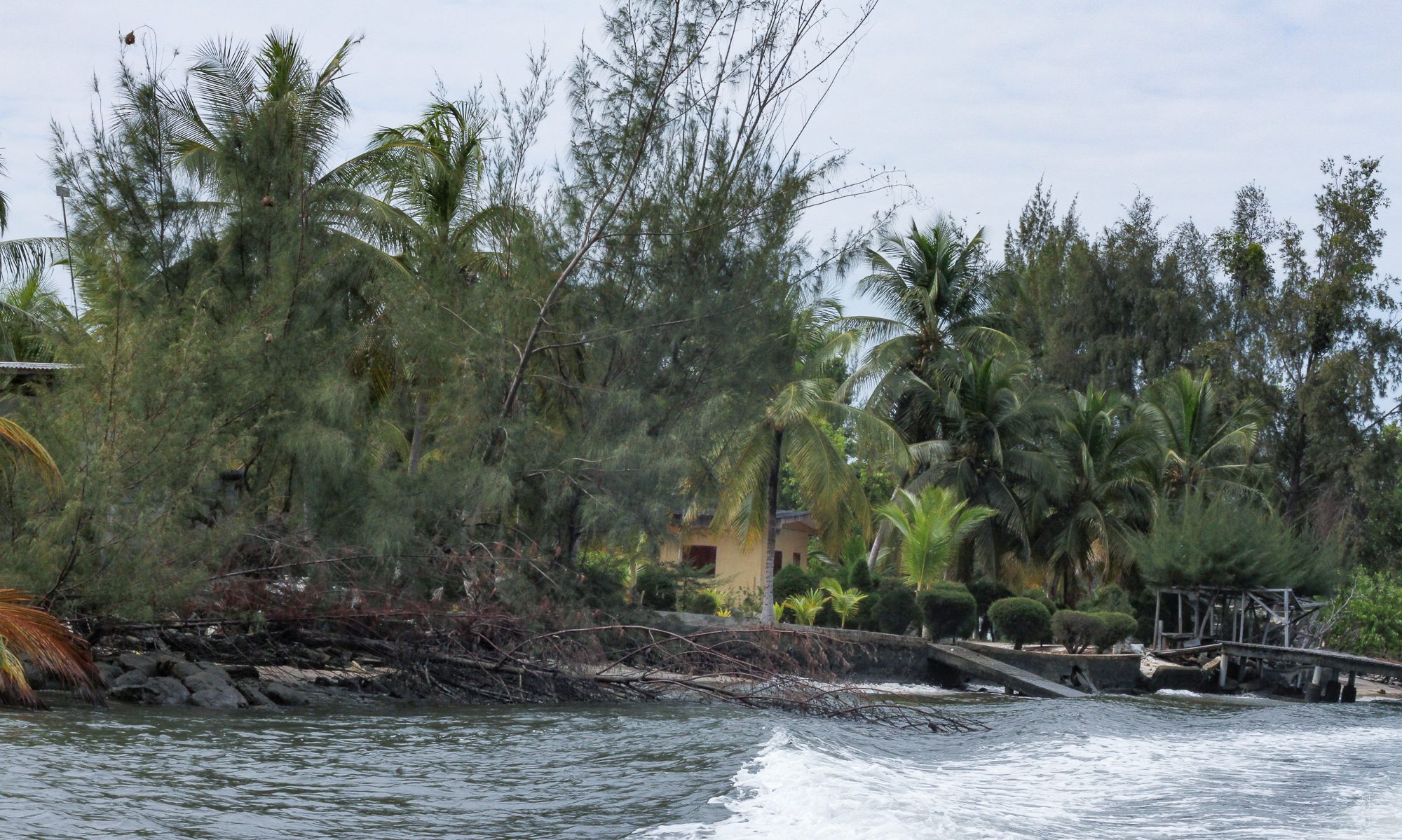 Wooded shoreline at Pointe Denis