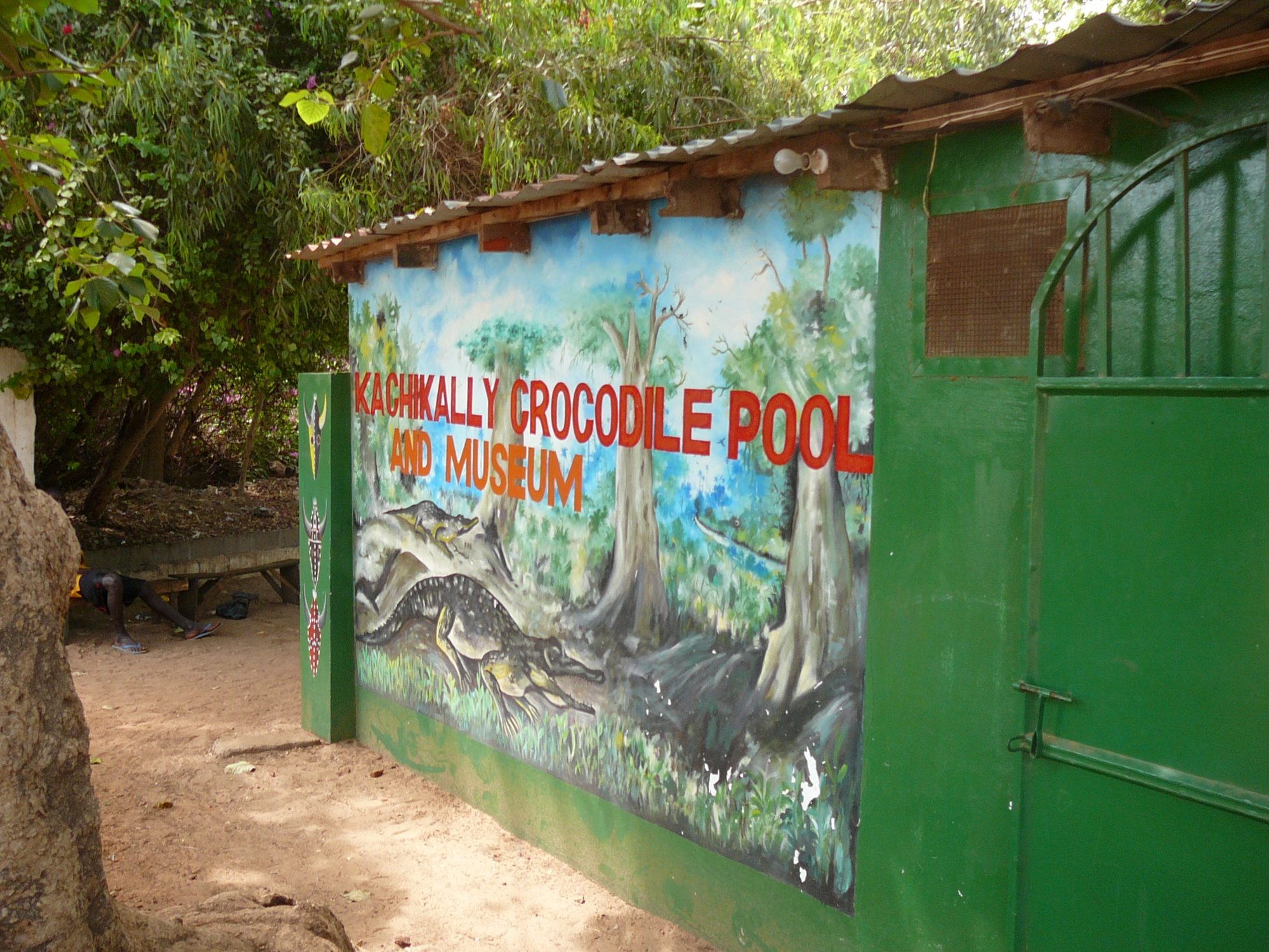 Kachikally Crocodile Pool, Gambia