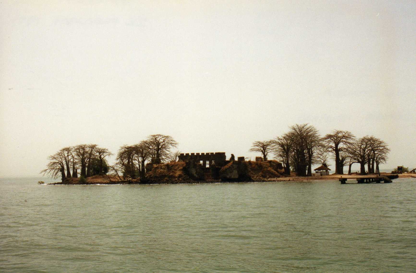 Baobabs on James Island