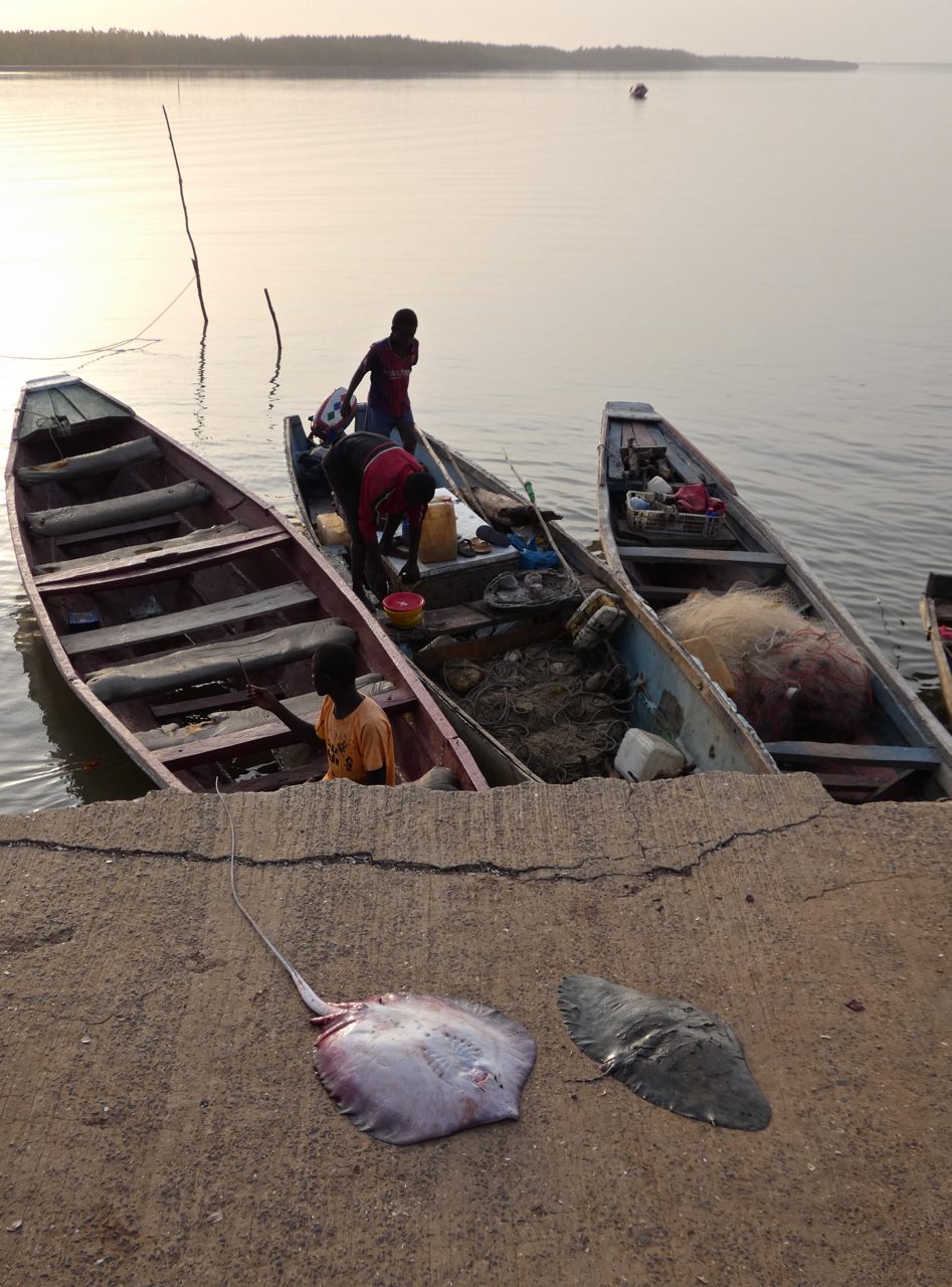 Tendaba on the River Gambia