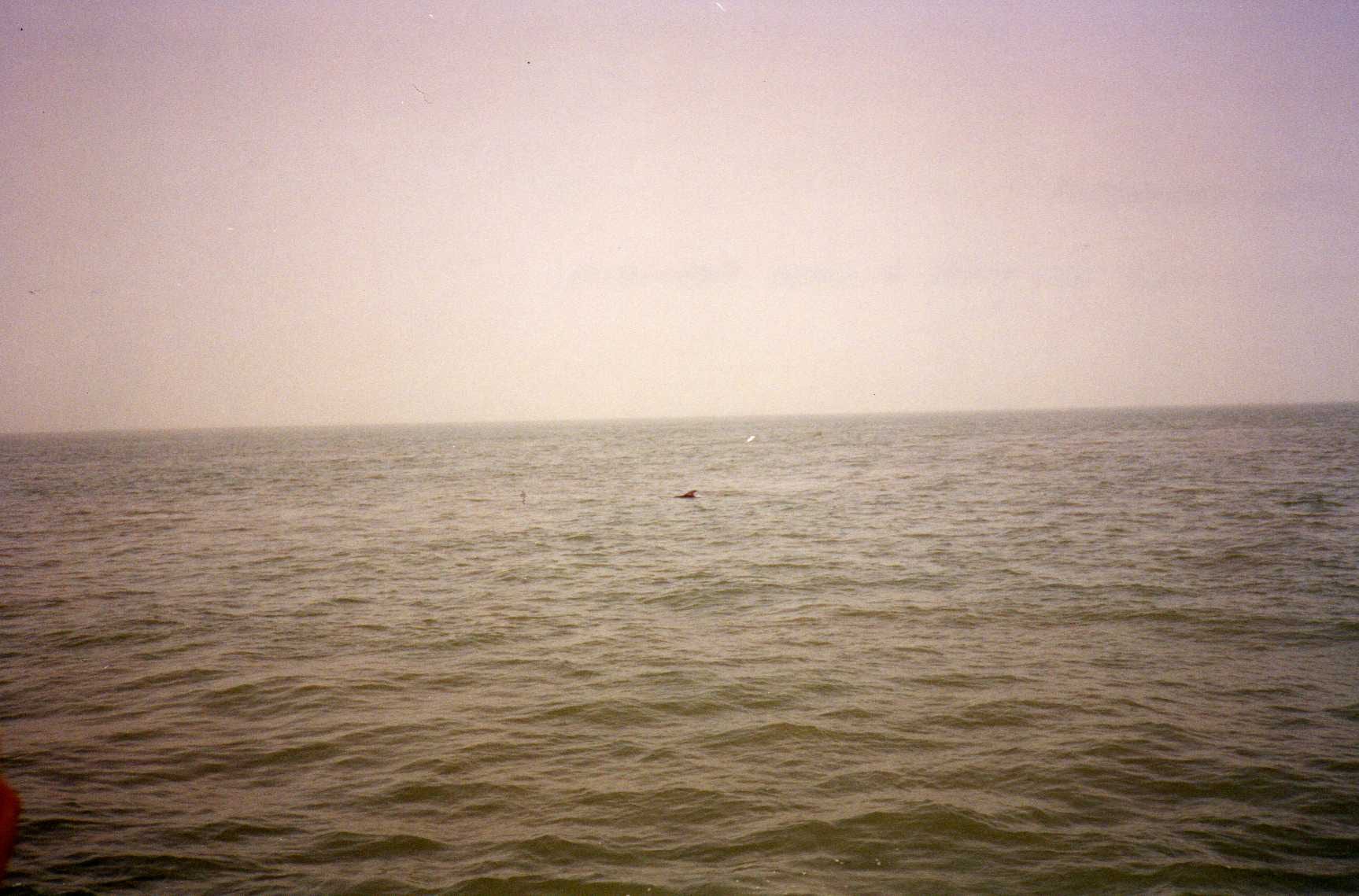 River Gambia National Park, Gambia