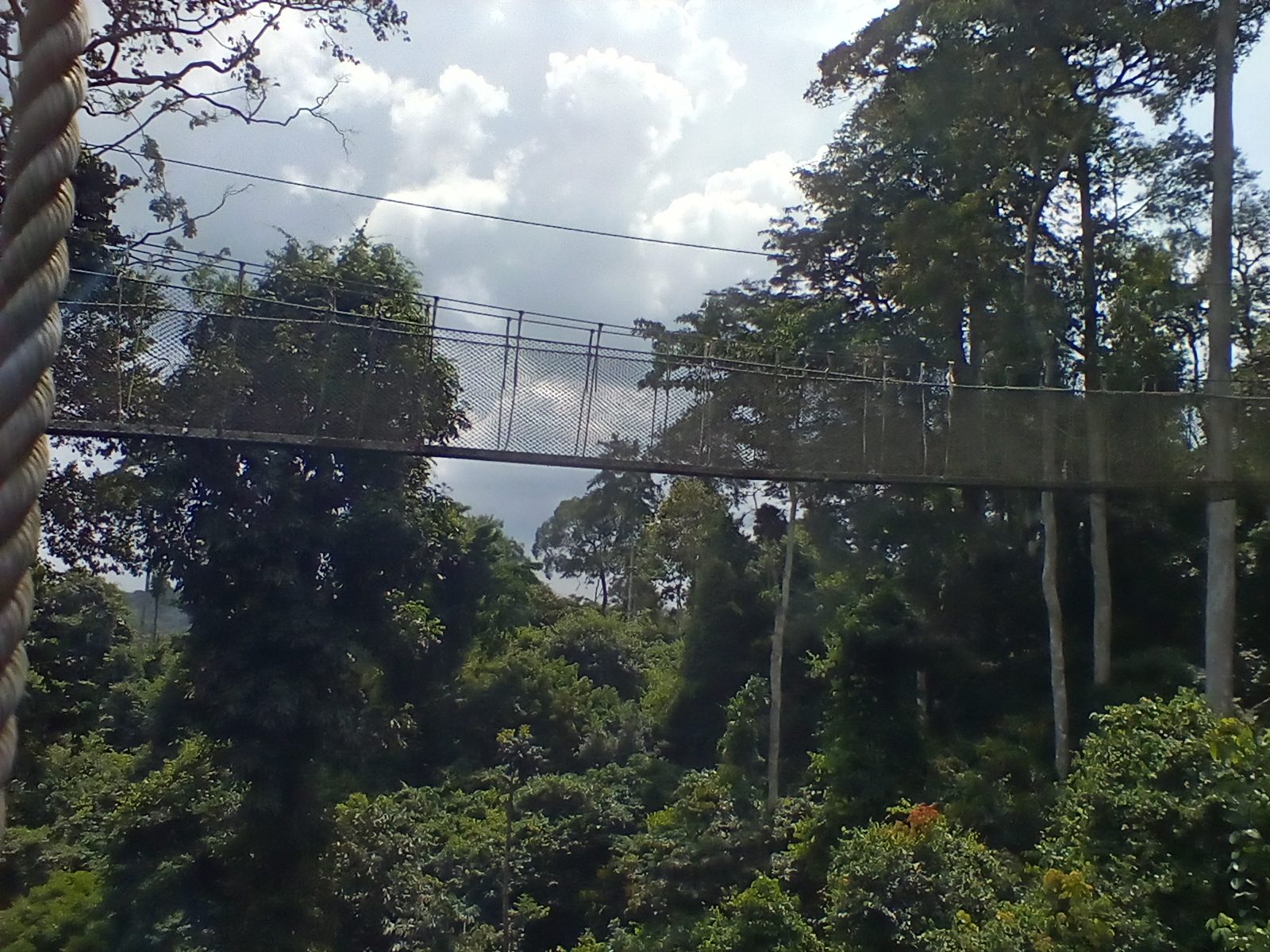 Kakum National Park, Ghana