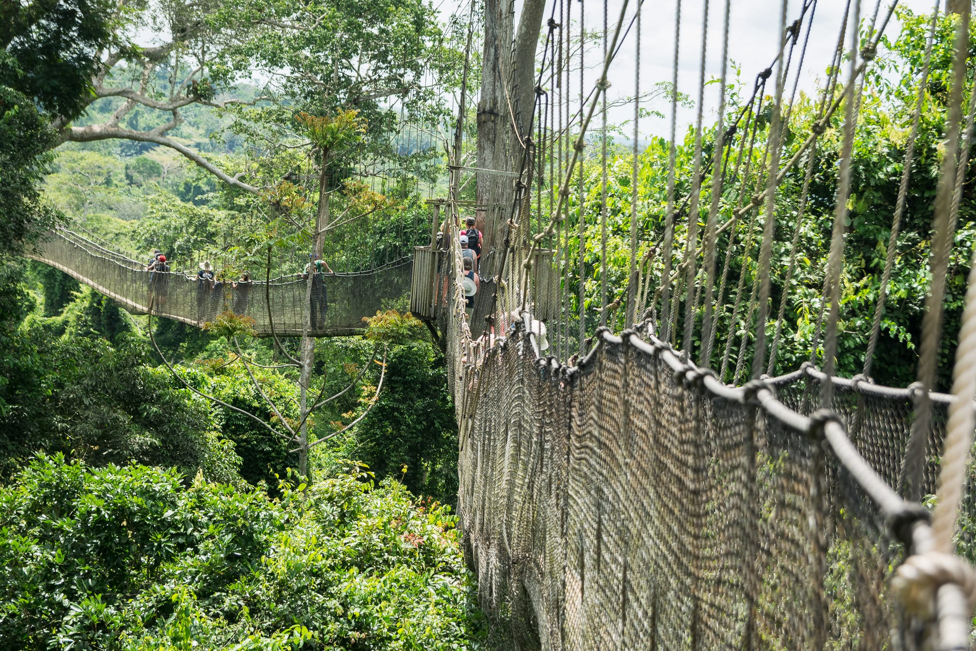 Kakum National Park, Ghana