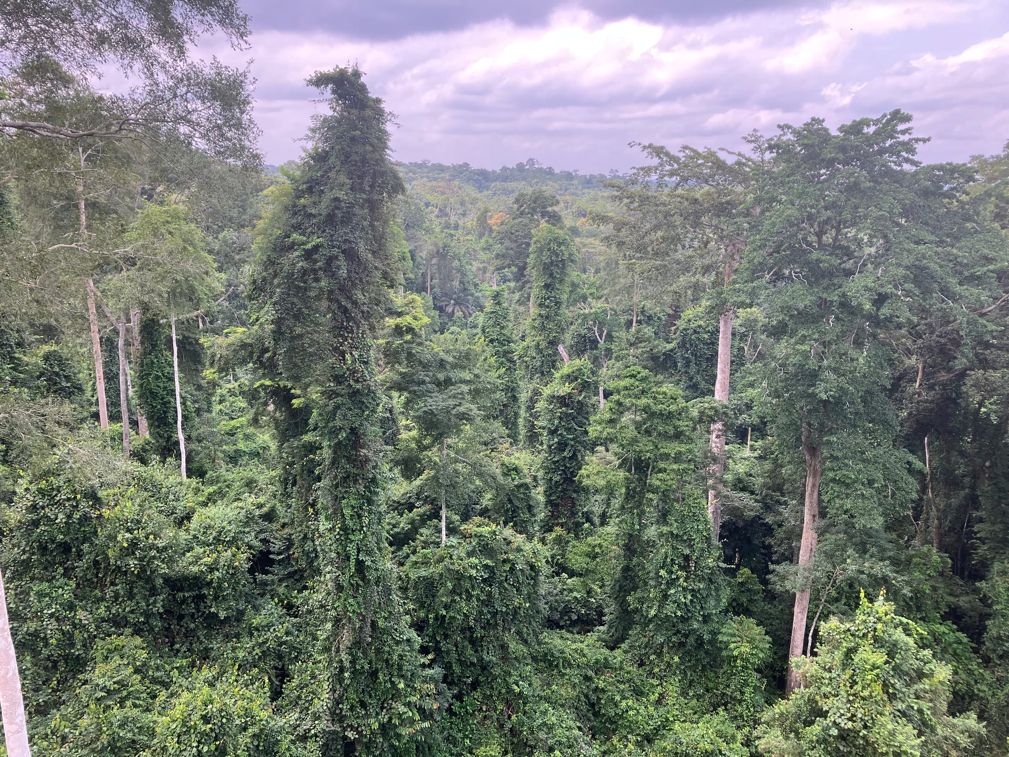 Kakum National Park, Ghana