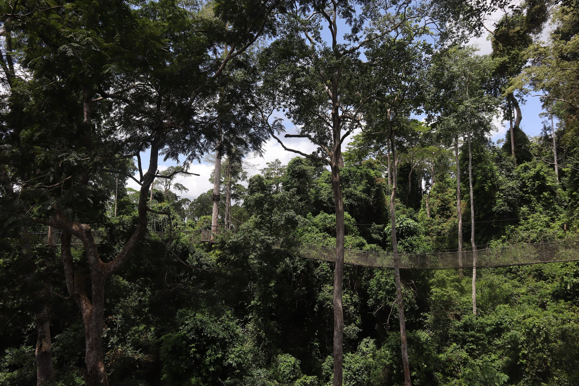 Kakum National Park, Ghana