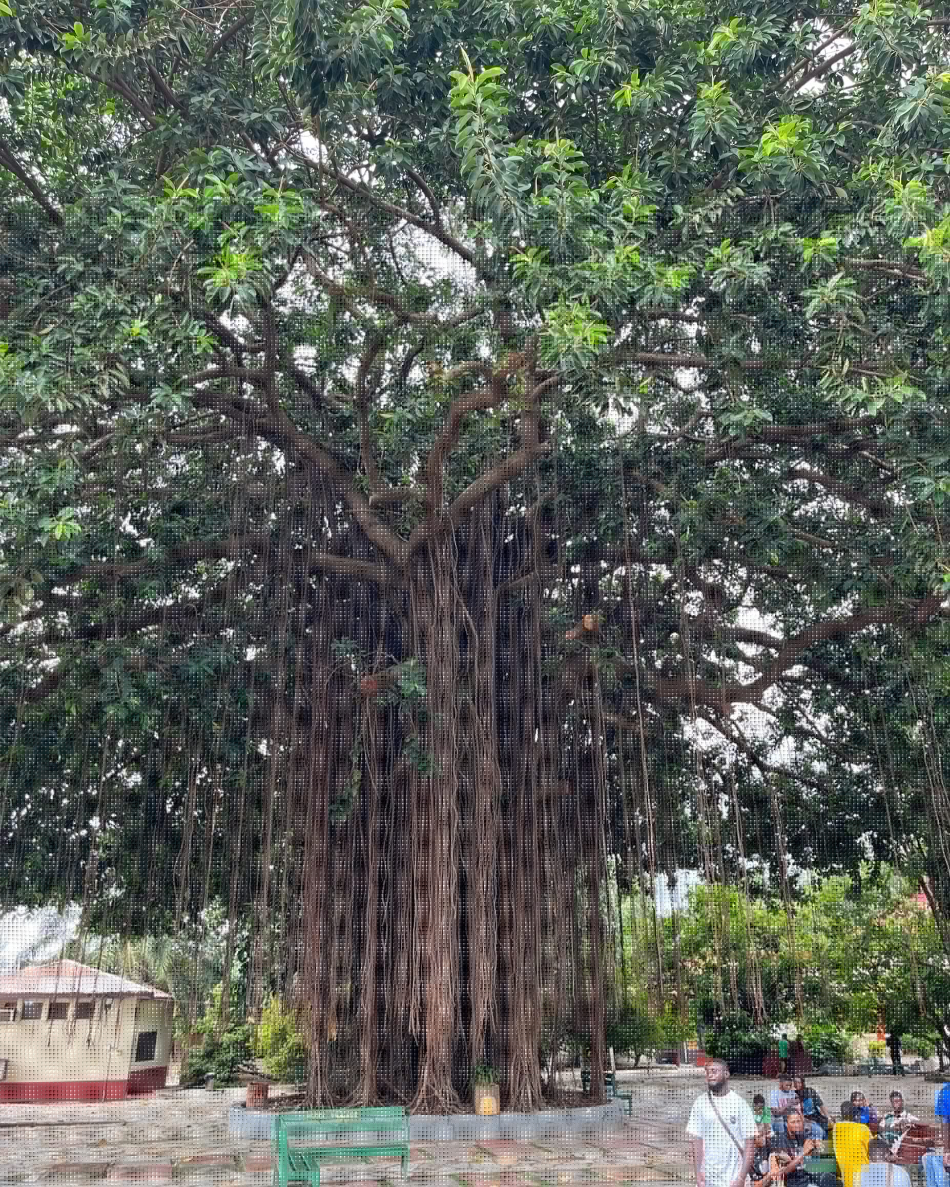 Kumasi Manhyia Palace, Ghana