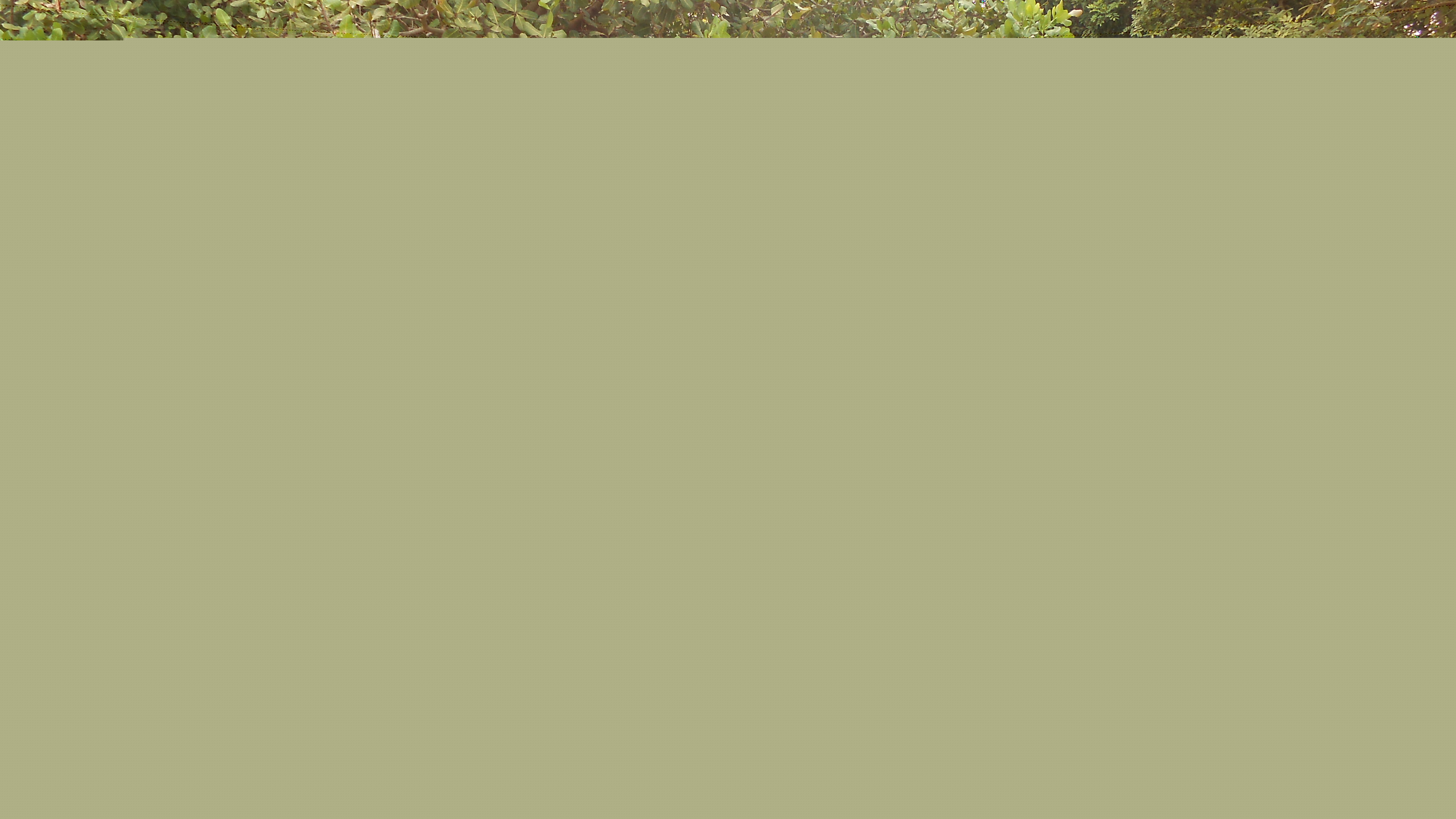 Orango Islands National Park