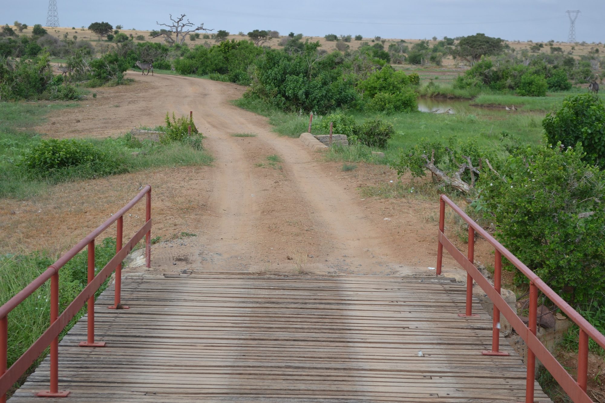 Bridge on the Voi River, Tsavo East