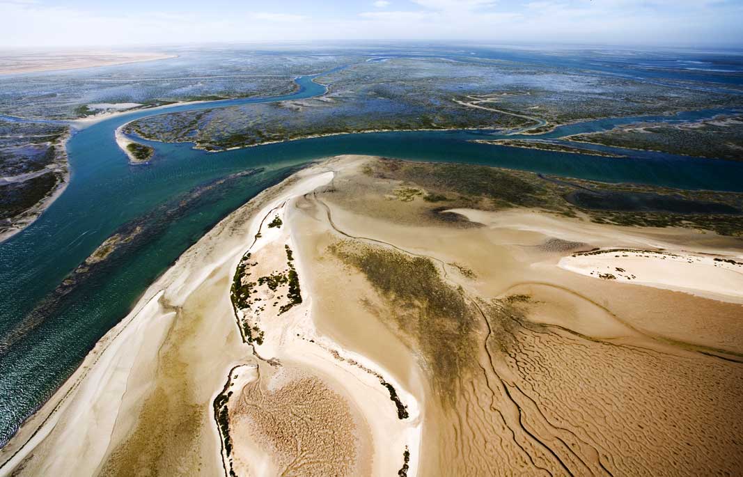 Banc d'Arguin National Park