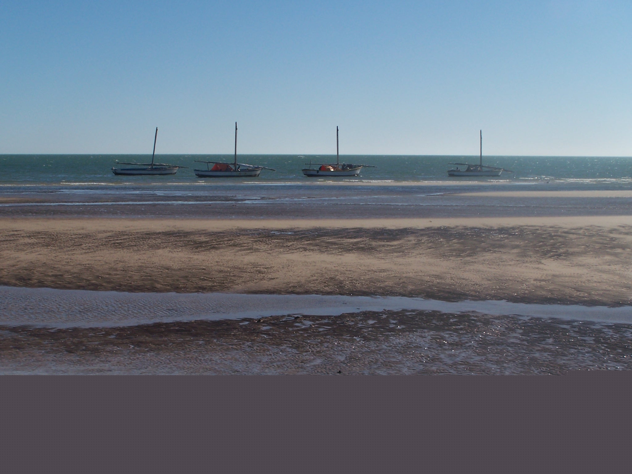 Banc d'Arguin National Park