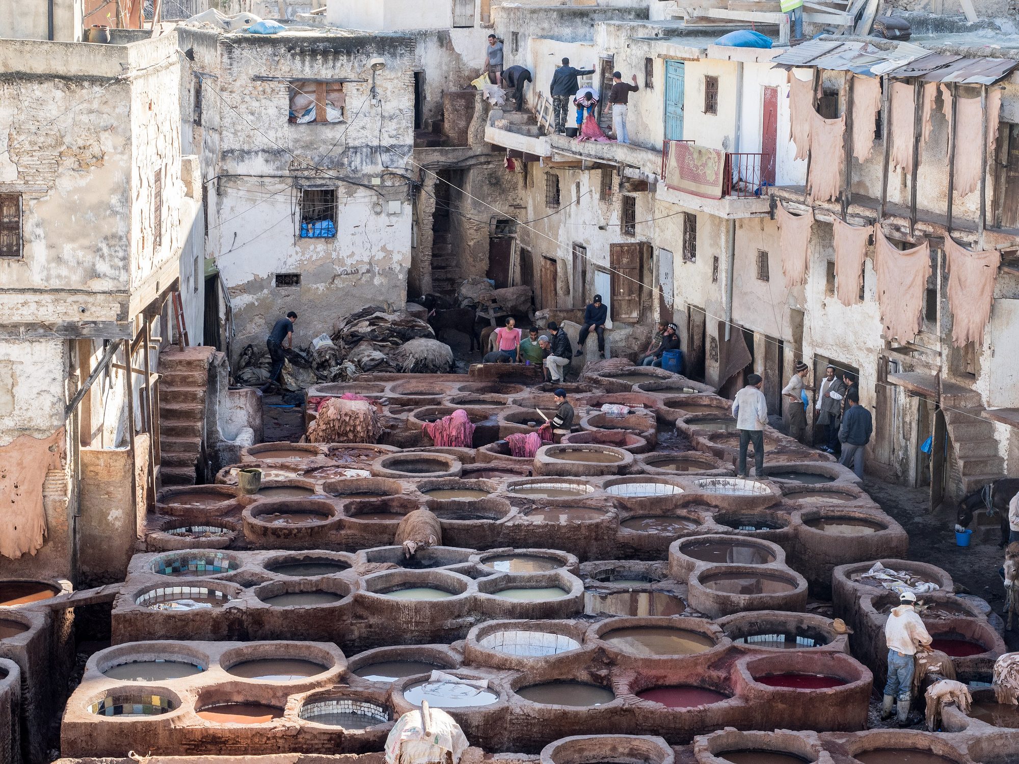 Chouara tannery dyeing vats, Fez
