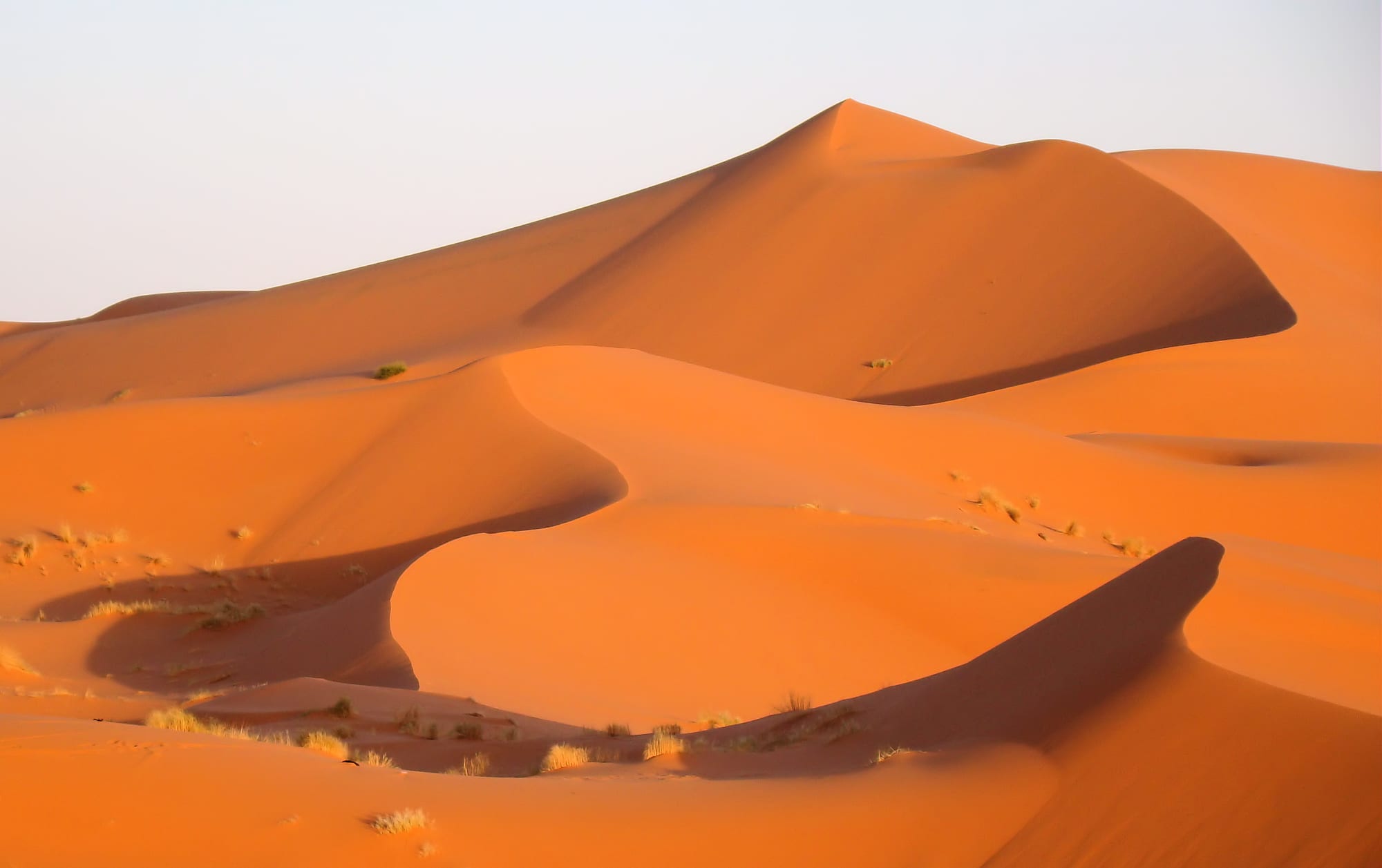 Merzouga Sahara Dunes, Morocco
