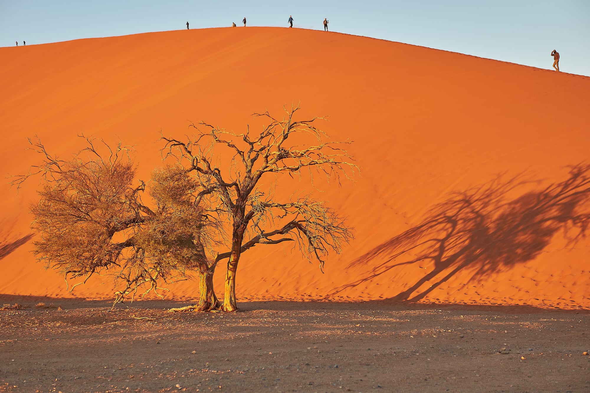 Sossusvlei Deadvlei, Namibia