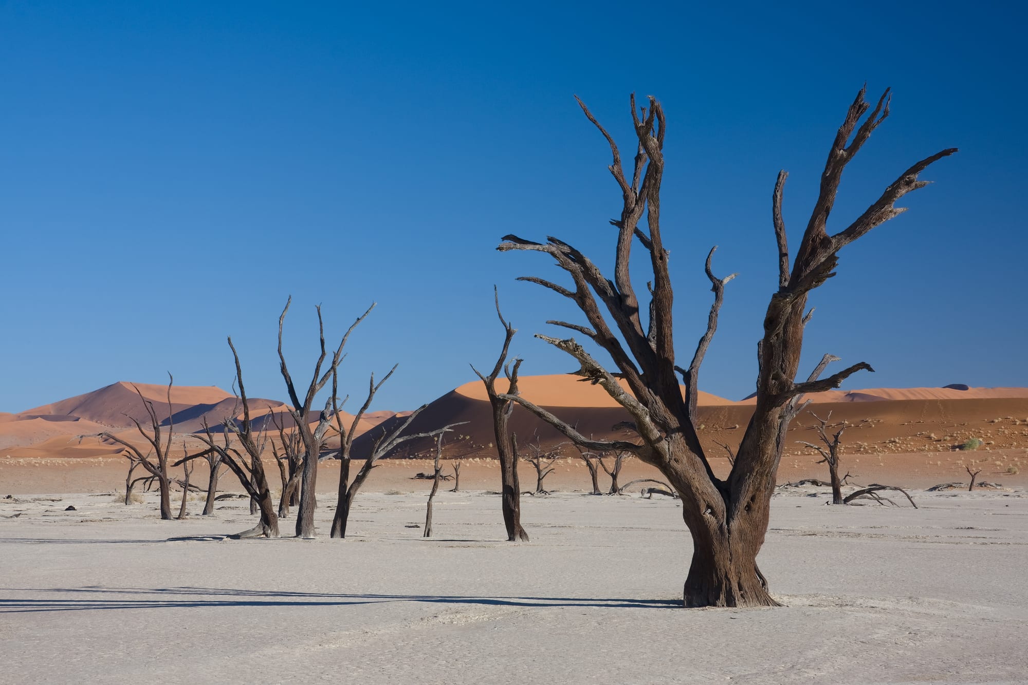 Sossusvlei Deadvlei, Namibia