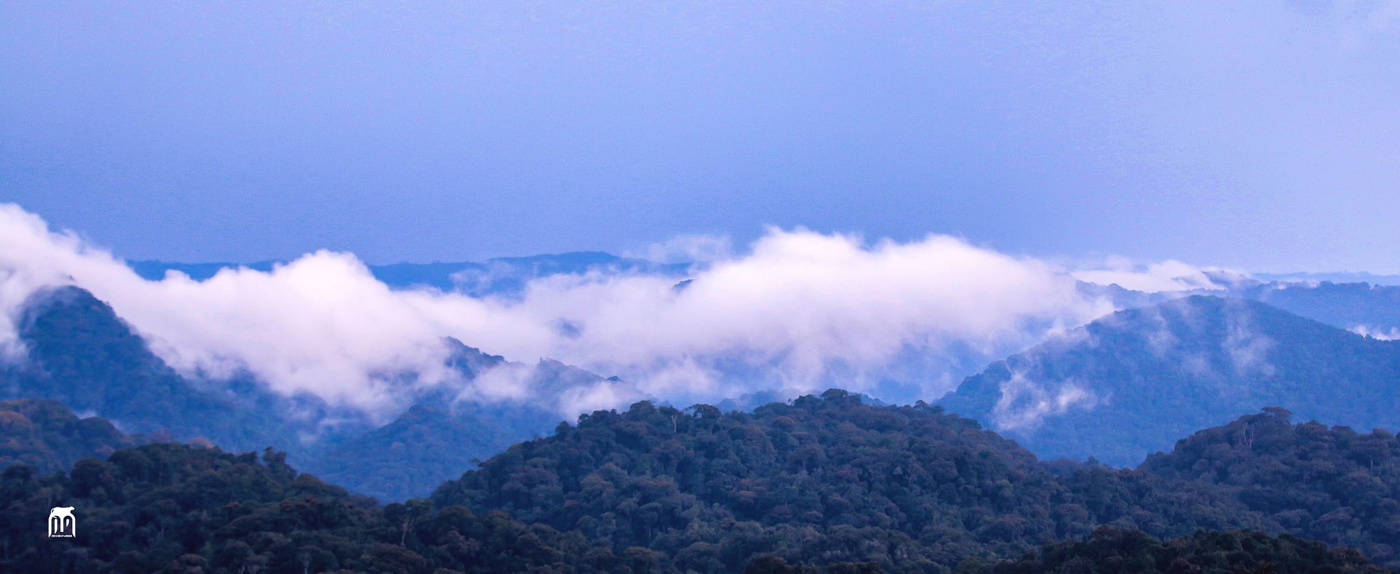 Nyungwe Forest, Rwanda