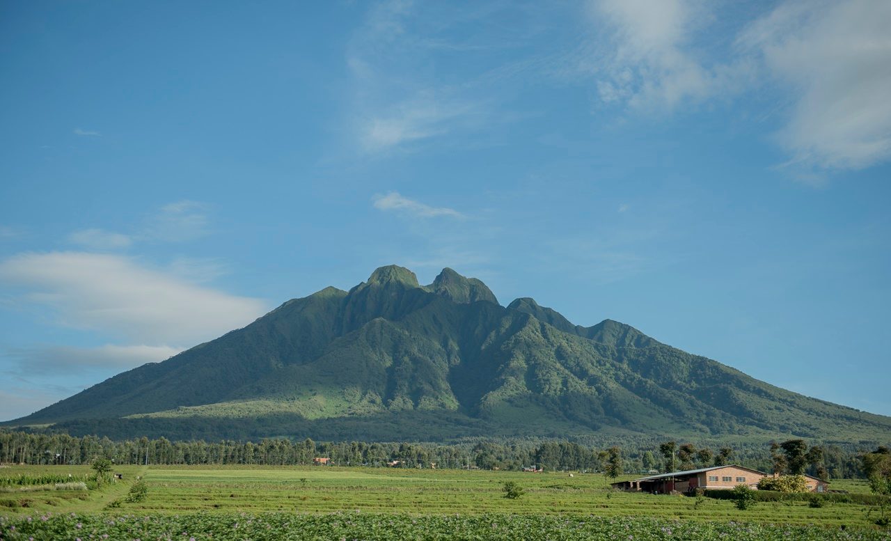 Volcanoes National Park, Rwanda