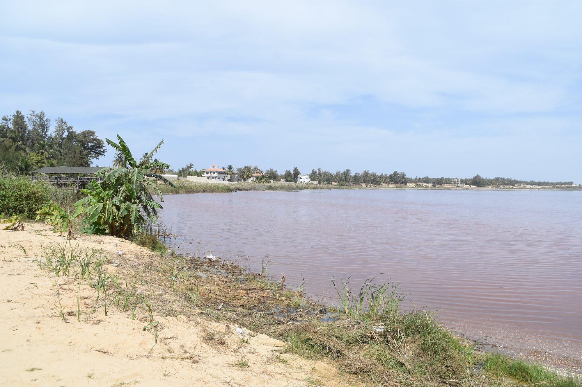 Shore of Lake Retba