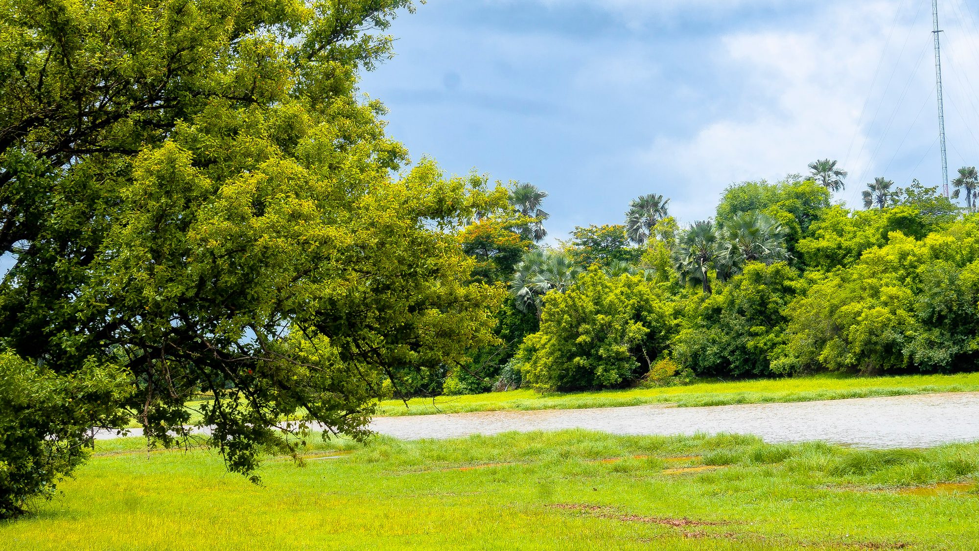 The Gambia River in Niokolo-Koba