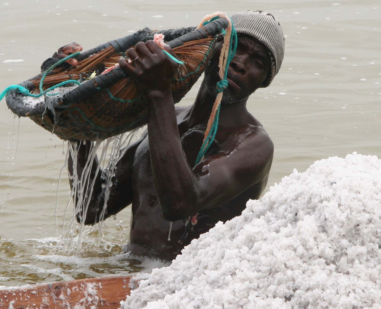 Pink Lake, Senegal