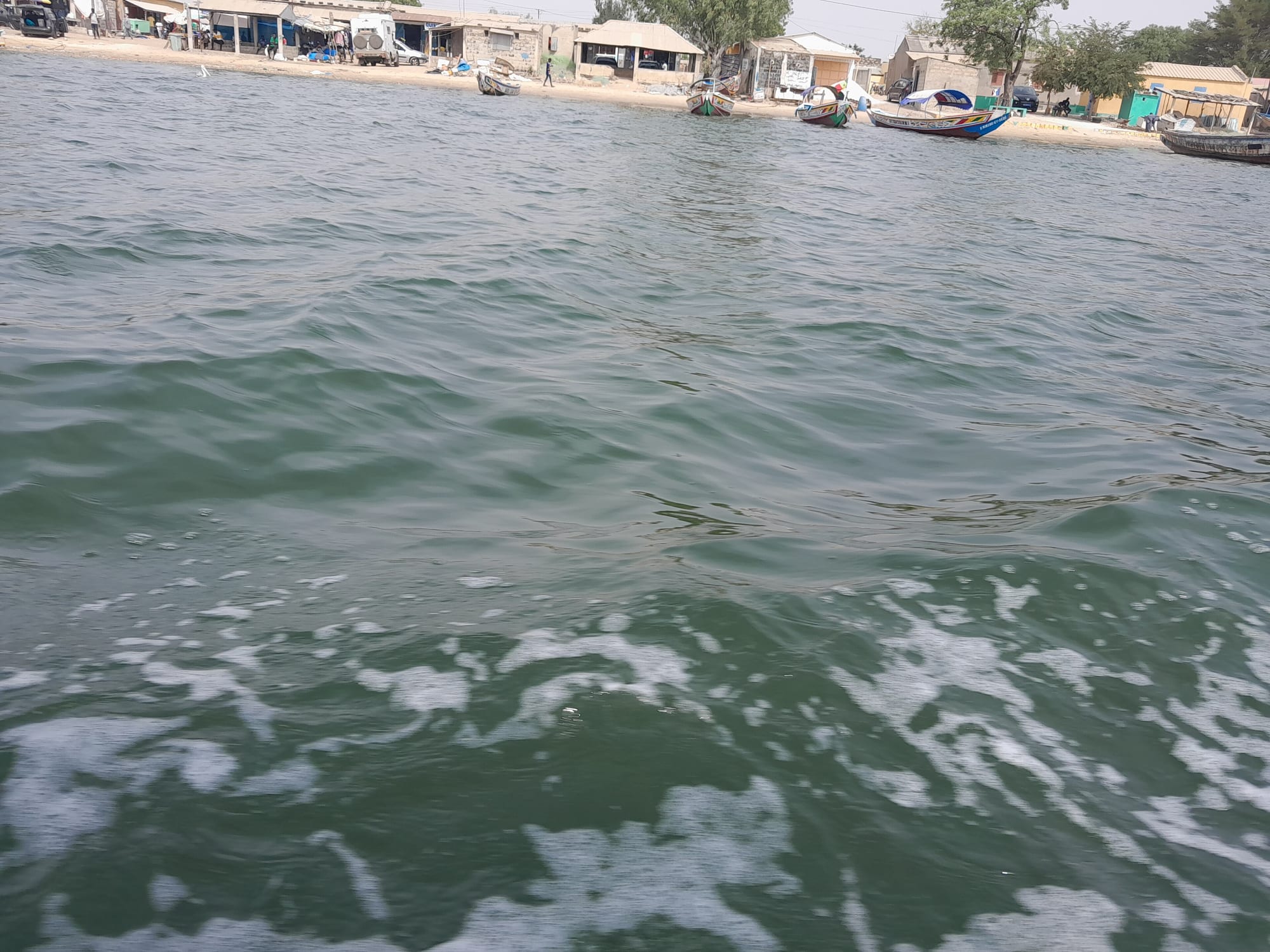 Saloum Delta, Senegal