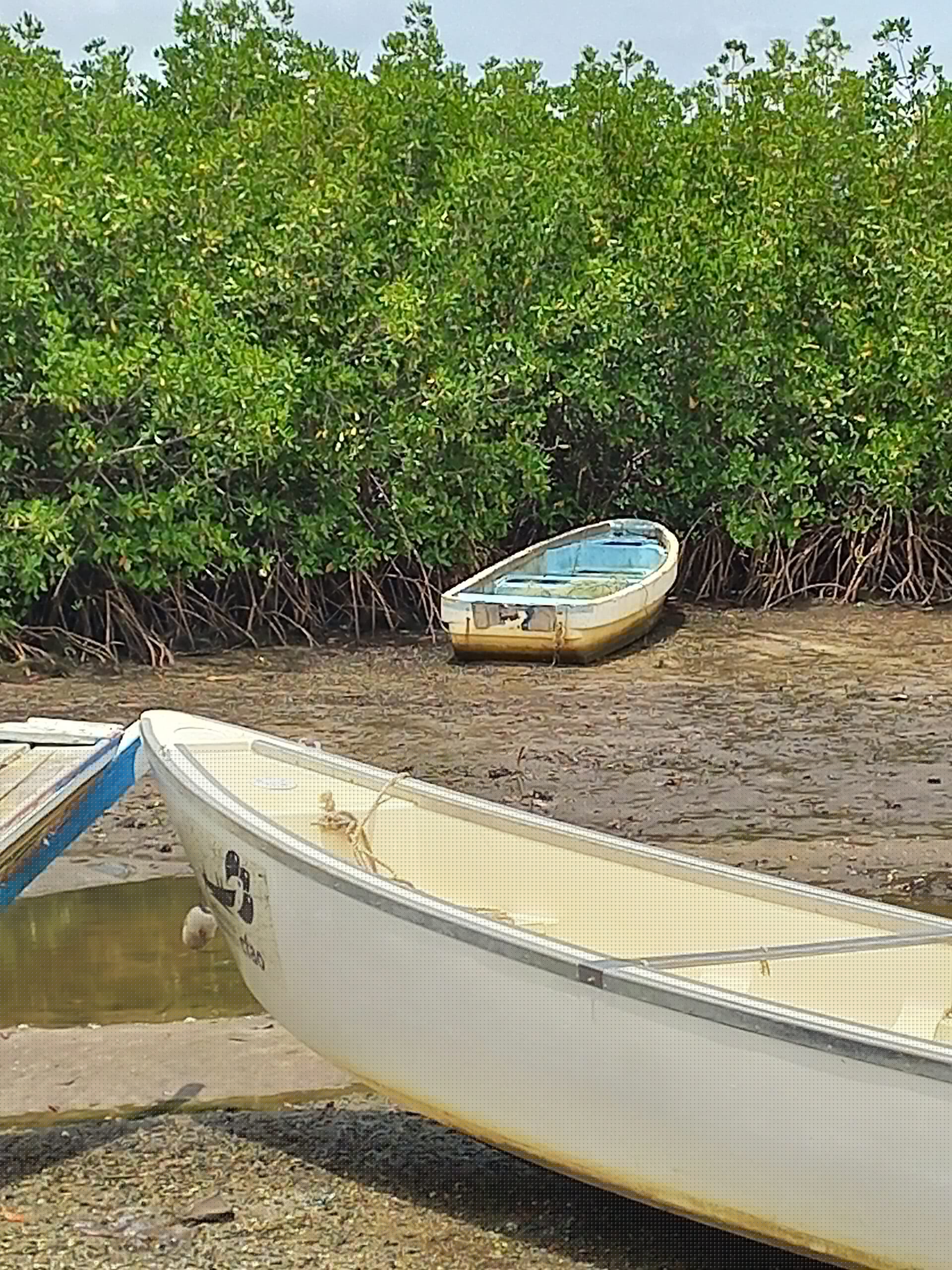 Saloum Delta, Senegal