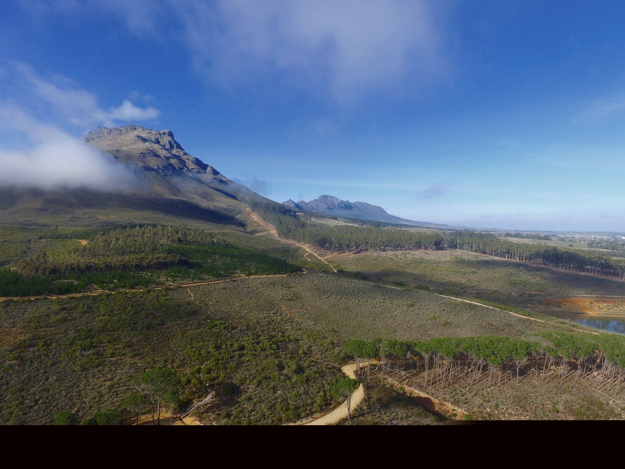 Stellenbosch Mountain and vineyards