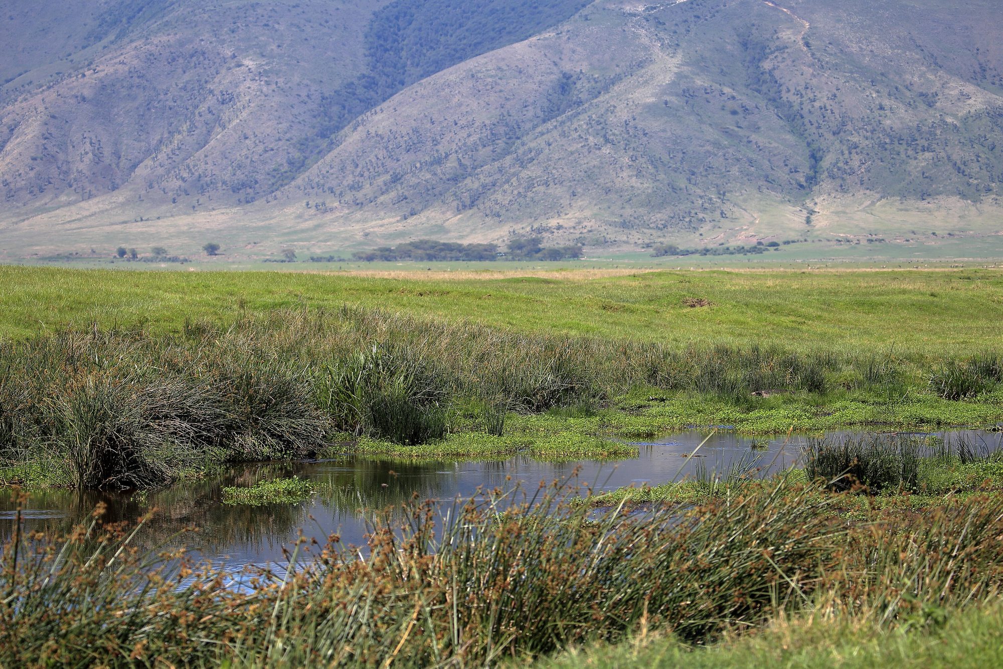 Ngorongoro Crater, Tanzania