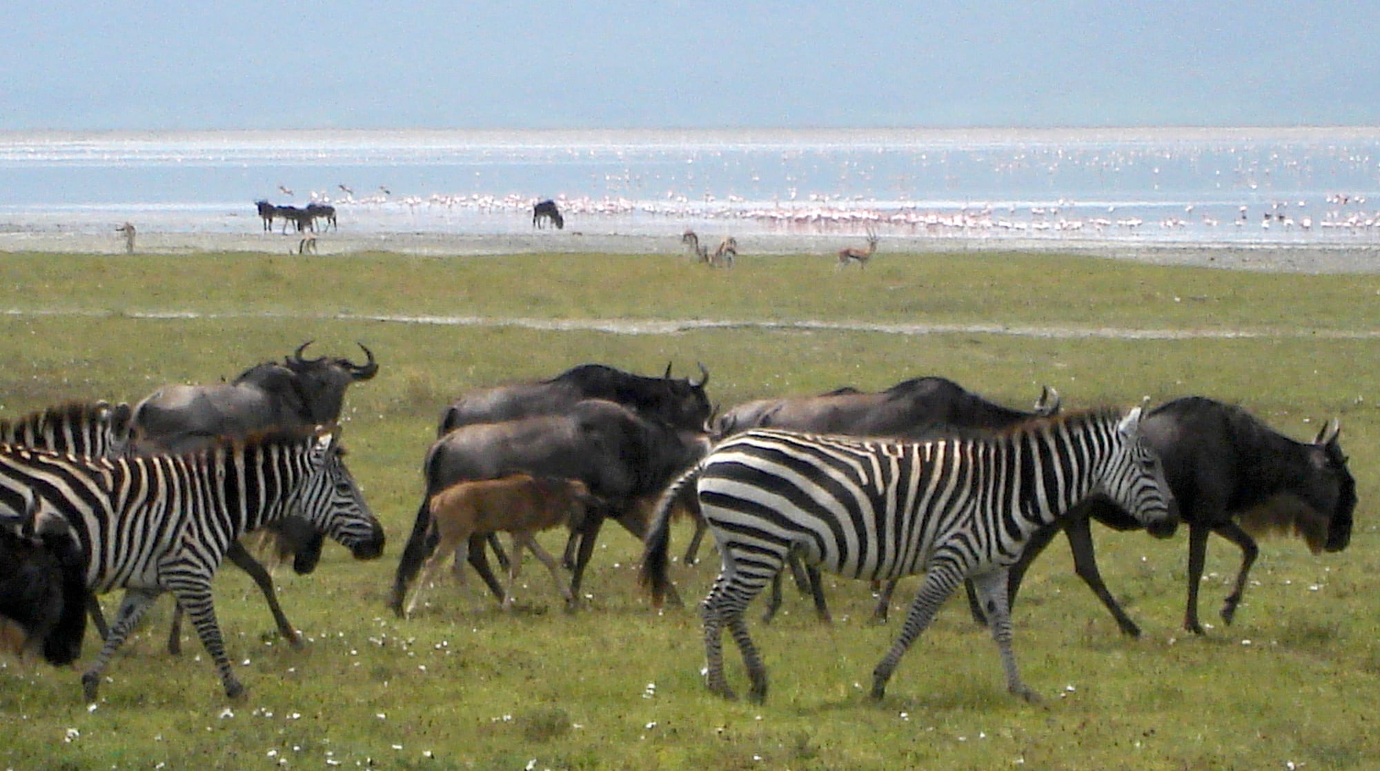 Ngorongoro Crater, Tanzania