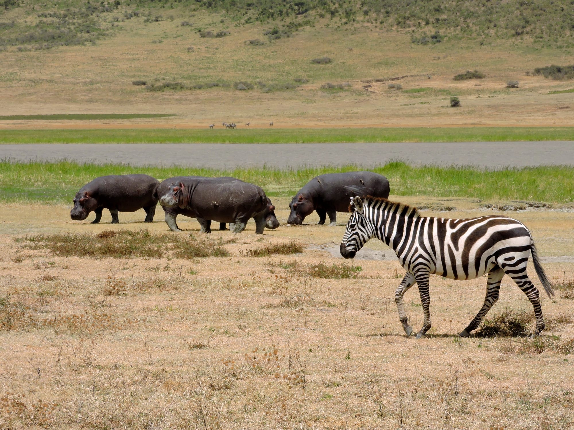 Ngorongoro Crater, Tanzania
