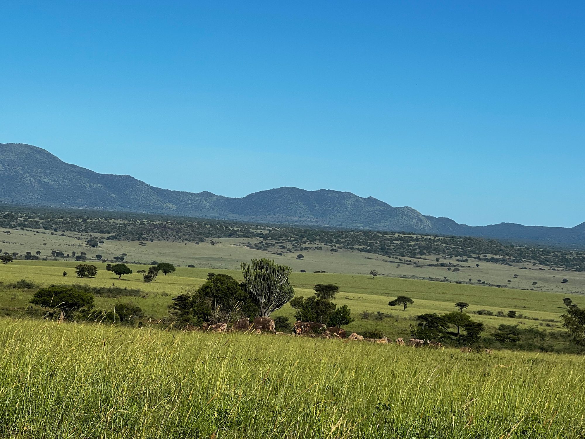 Kidepo landscape
