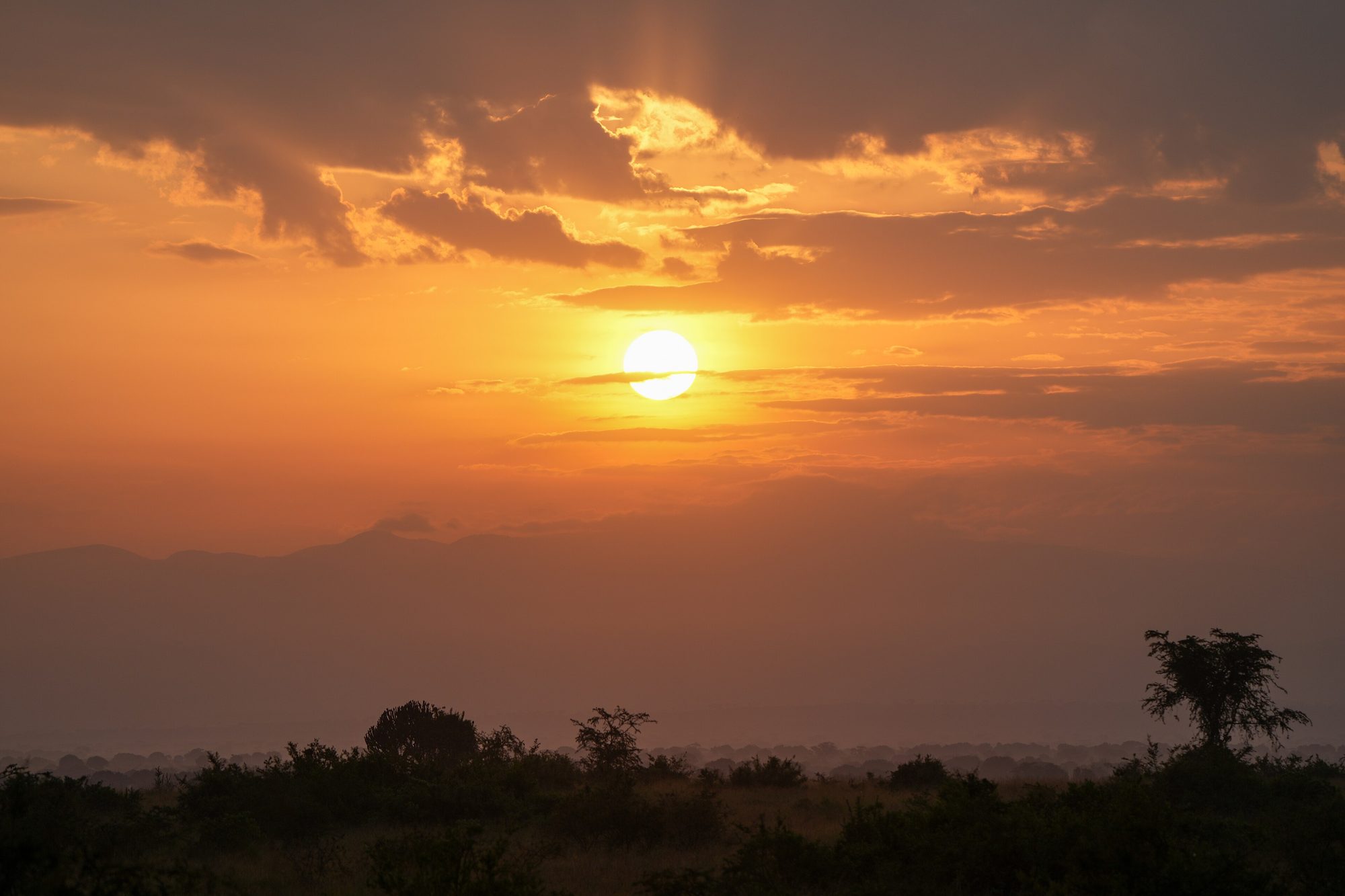 Queen Elizabeth National Park, Uganda
