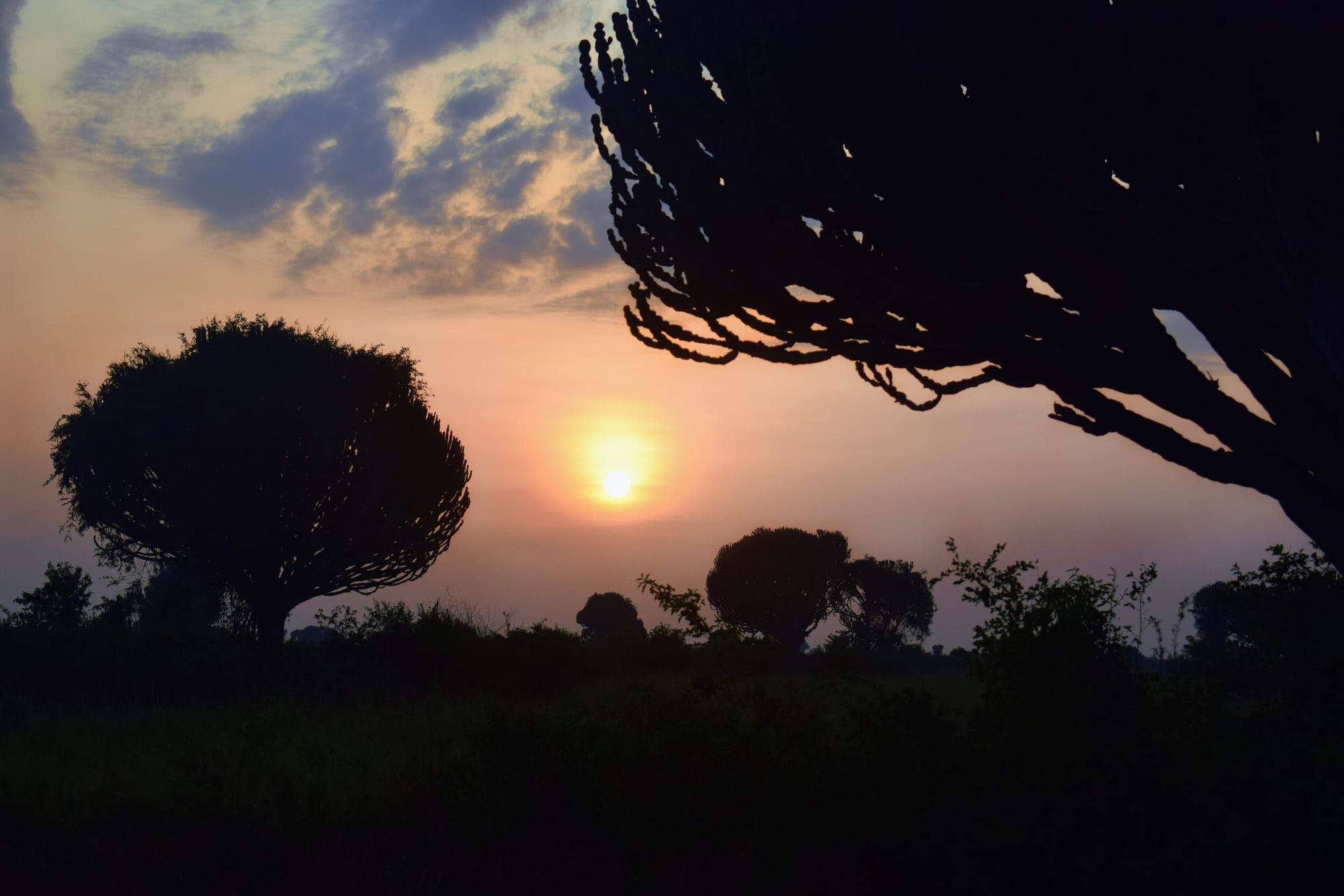 Queen Elizabeth National Park, Uganda